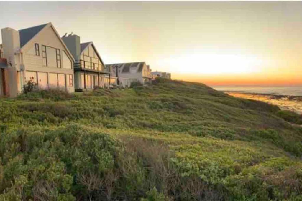 Baby Whale Bliss - Beachfront House Witsand Exterior foto